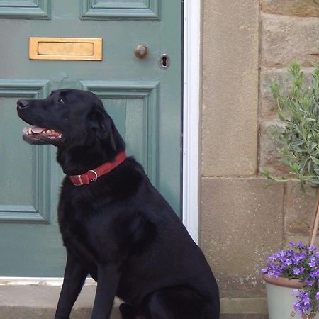 Bed and Breakfast Fern Bank à Great Rowsley Extérieur photo