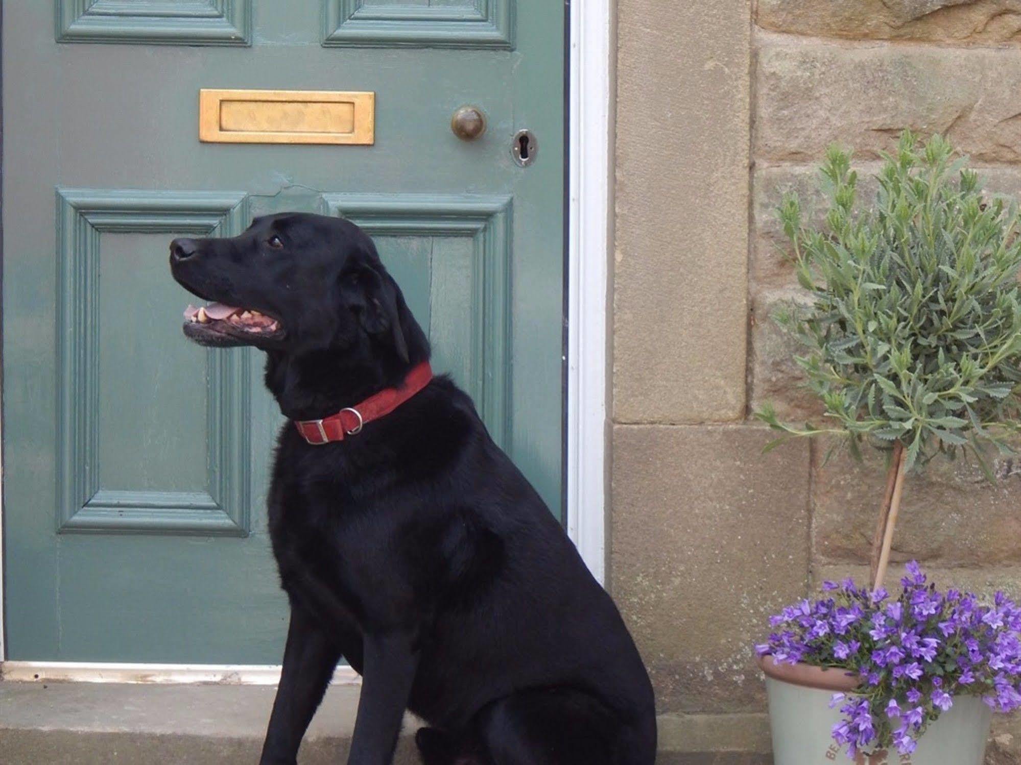 Bed and Breakfast Fern Bank à Great Rowsley Extérieur photo